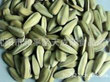 五香瓜子 傳統(tǒng)工藝與品質(zhì)保證的完美結合