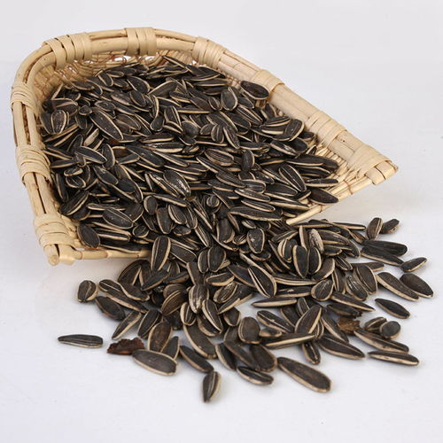 味蕾盛宴 從散裝批發(fā)到精致小包裝，探秘五香瓜子的獨(dú)特魅力